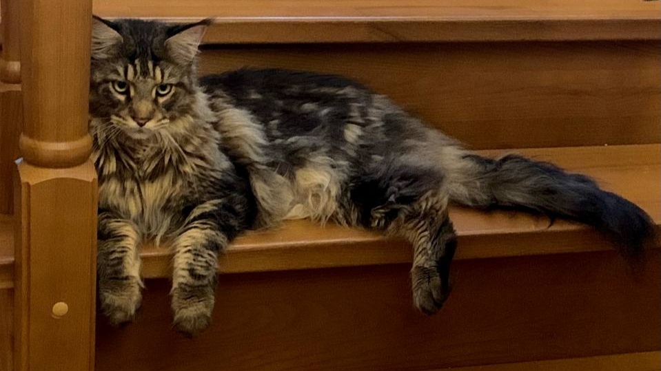 77E02F58 0D6F 417D B209 930F92624CEE